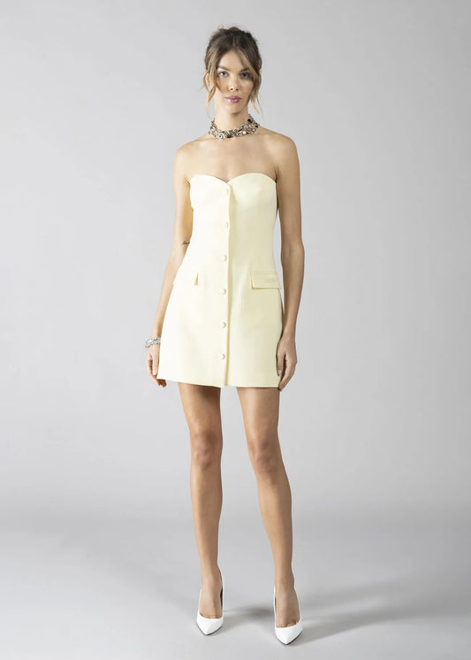VESTIDO DENNY ROSE
